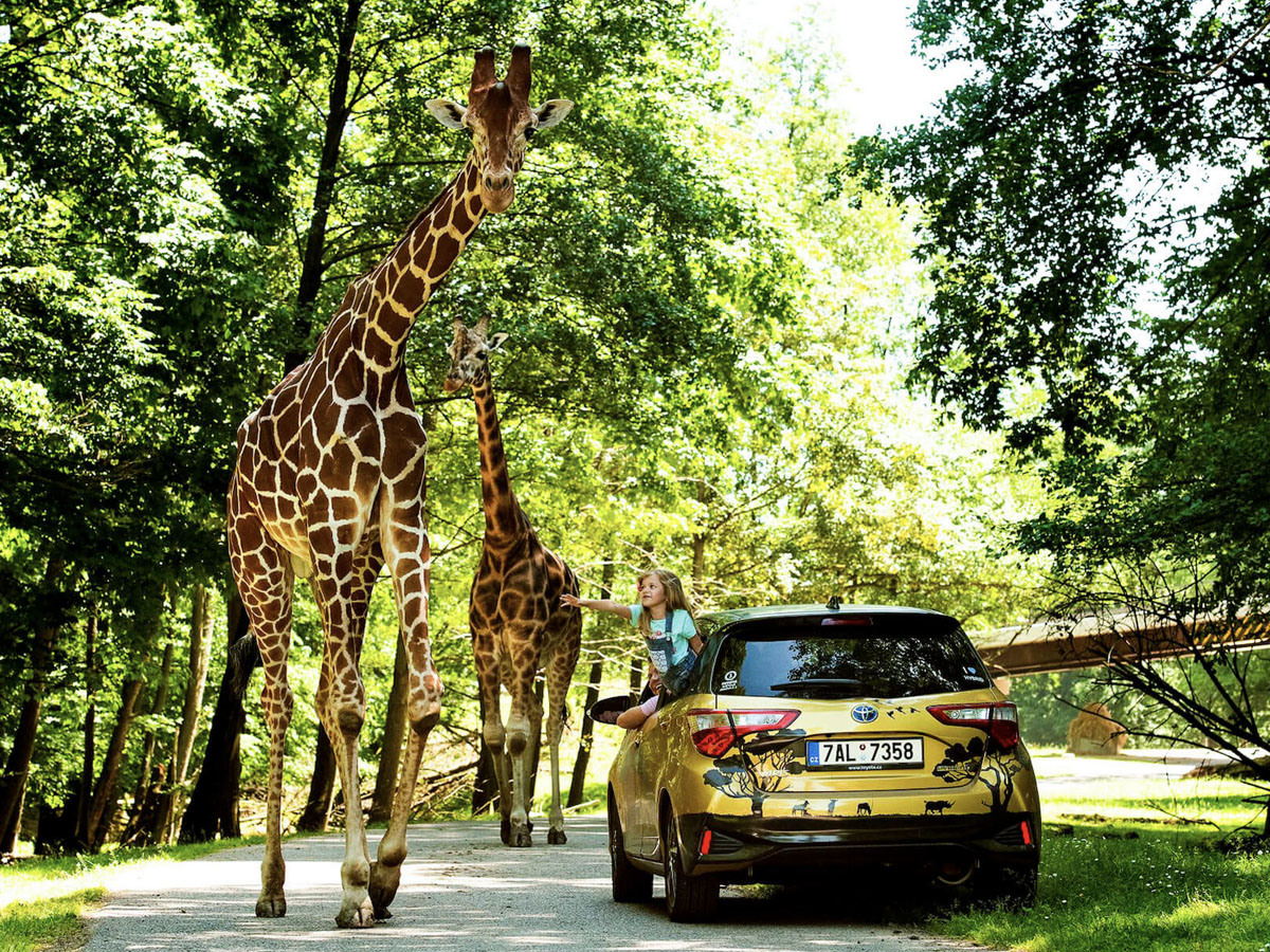 Camping Královec - kamperen midden in de prachtige natuur van Tsjechië